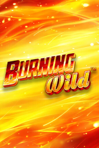 Демо версия игры Burning Wild | VAVADA BY 